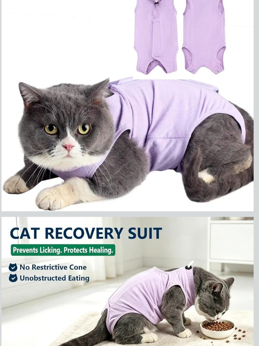 Cat Recovery Suit for Pets - Lavender Comfort Healing Shirt Size L Large